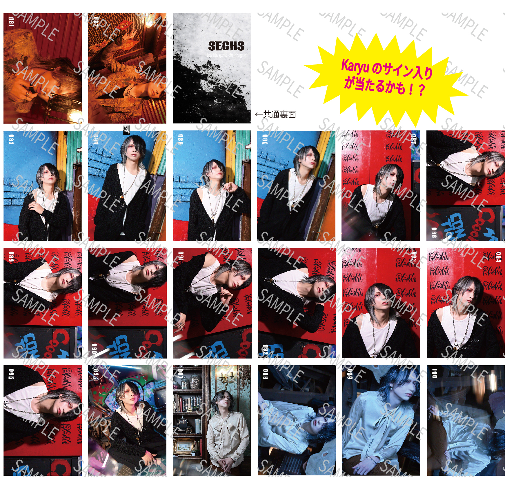 Karyu チェキ③ Karyu チェキ③